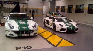 Полиция Дубая получила Ferrari FF (8 фото)