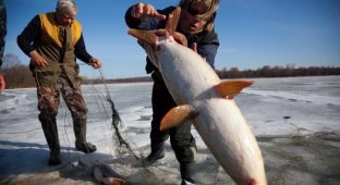 Как ловят рыбу зимой (31 фото)