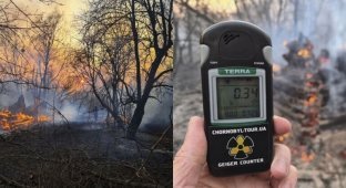 В зоне отчуждения в Чернобыле тушат сильный пожар - радиационный фон превышает норму (5 фото + 2 видео)