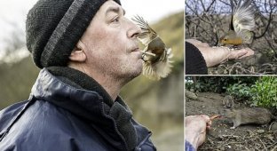 Фотограф приучил диких животных есть у него с рук (20 фото + 1 видео)
