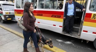 Как слепые из Перу борются за свои права (9 фото)