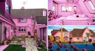 Если вам действительно нравится розовый цвет — этот дом для вас (19 фото)