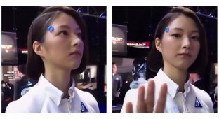 Японцы создали женщину-андроида (1 фото + 1 видео)