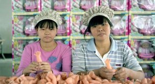 Фабрика игрушек в Китае (26 фото)