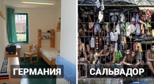 Условия содержания заключённых в разных странах мира (15 фото)