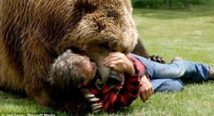 За кадром фильмов с участием медведей (11 фото)