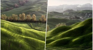 Живописные поля Тосканы, будто сошедшие с картин (23 фото)