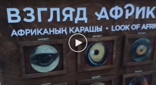 Сотрудники зоопарка в Казани тонко намекают