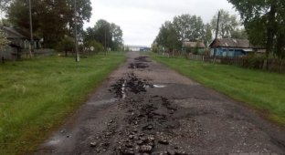 В Омской области мужчина «вспахал» асфальт угнанным трактором (3 фото)