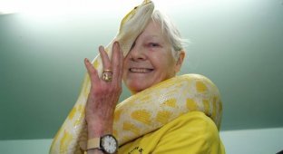 Бабуля потратила миллионы, чтобы стать королевой змей (7 фото + 1 видео)