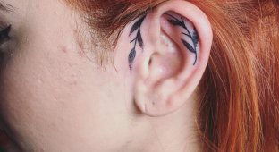 Оригинальные татуировки на ушах (35 фото)