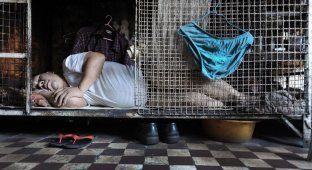 Жизнь в “собачьих клетках” в Гонконге (14 фото)