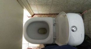 Туалет для школьников (2 фото)