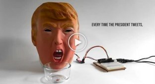 Программист из США создал робота в виде головы Дональда Трампа
