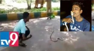 Подросток из Индии скончался после попытки поцеловать кобру для селфи (4 фото + 1 видео)