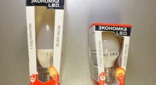 Как производители светодиодных ламп обманывают покупателей (8 фото)