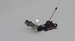 Начинающий сноубордист пытается справиться с бугельным подъемником