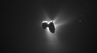 Лучший снимок кометы Чурюмова-Герасименко (4 фото)