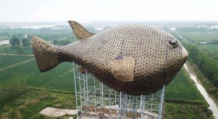 Китайская башня-рыба: вид с воздуха (5 фото + 1 видео)