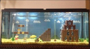 Супер Марио в аквариуме (9 фото)