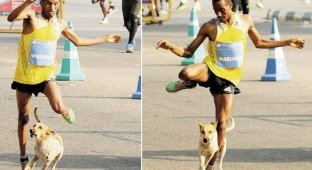 Неудачливый эфиопский бегун проиграл марафон и был атакован собакой (2 фото)