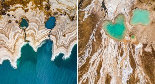 Мертвое море и тайны анатомии (7 фото)