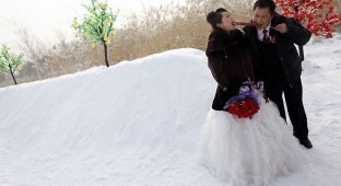 Массовая свадьба в Харбине (11 фото)