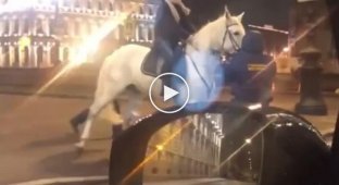 Девушки на лошадях в Санкт-Петербурге хотели штурмом взять здание ЗАКСа