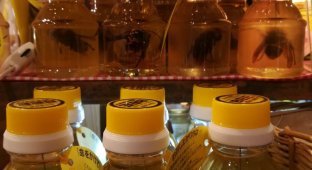 Мед из Японии с особым ингредиентом, который есть не рекомендуется (7 фото)