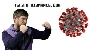 Рамзан Кадыров, удаленка и карантин: лучшие мемы из Сети (16 фото)