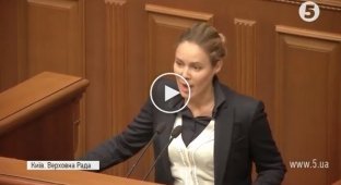 Парубий остановил выступление Долженкова и призвал говорить на государственном языке