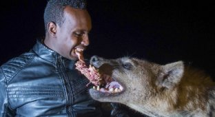 "Человек-гиена" ест от одного куска с хищниками, помогая соседям (5 фото)