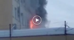 Неожиданная реакция служащих Арбитражного суда в Петербурге, в котором начался пожар