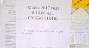 В Саратове жильцов дома оштрафовали за отсутствие на субботнике (2 фото)