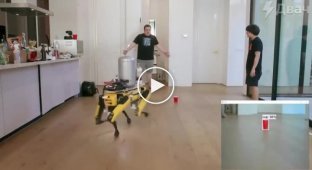 Блогер научил робота-собаку от Boston Dynamics разливать пиво