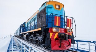 Самая северная в мире железная дорога (35 фото)