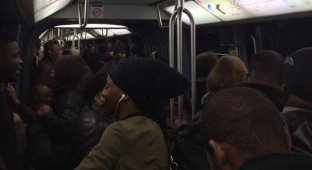 Парижское метро - почувствуй себя белой вороной (2 фото)
