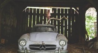 Развенчание красивой легенды о Mercedes 300 SL "Gullwing", найденном в заброшенном сарае (18 фото)