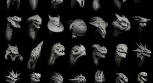 Сказочные 3D драконы от дизайнера Damir (22 Фото)