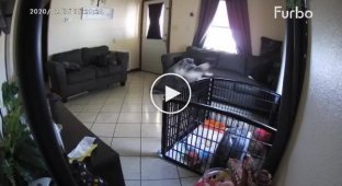 Камера наблюдения сняла нечто очень странное в доме у женщины