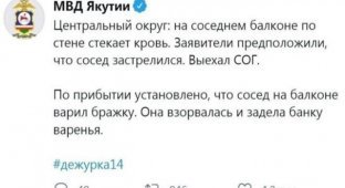 МВД Якутии делится в Twitter забавными историями (13 фото)