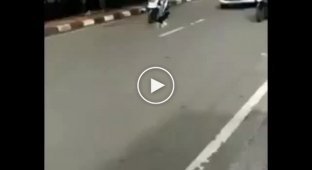 Мотоциклист помог стащившему бюстгальтер коту пересечь дорогу
