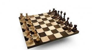 Самые необычные и знакомые шахматы!!! (16 фото)