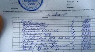 Развод в одной из московских ветклиник (2 фото)