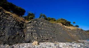 Пляж Юрского периода, Лайм Реджис (16 фотографий)