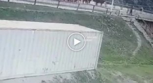 На Алтае автомобилистка на ВАЗе влетела в стадо коров