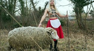 Акция FEMEN против однополых браков (10 фото) (эротика)