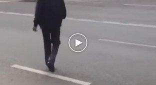 В Москве таксист решил помочь утке с утятами перейти дорогу, но в итоге спасался от нее бегством