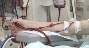 Ивановские врачи через суд перелили кровь больному ребенку (2 фото)