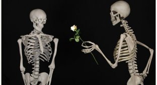 Жениться, не смотря ни на что, или любовь до гроба (2 фото)